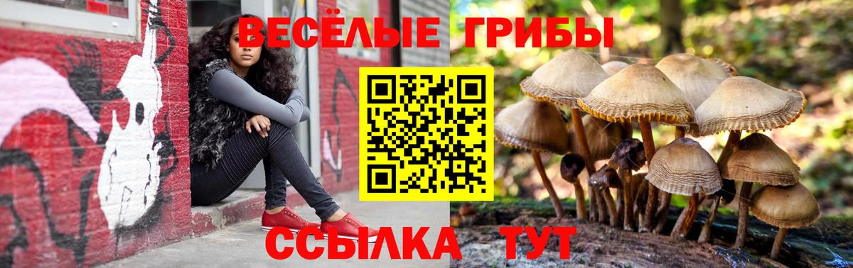Галлюциногенные грибы Cubensis  Вход с VPN  Вязники  Галлюциногенные грибы мухоморы 