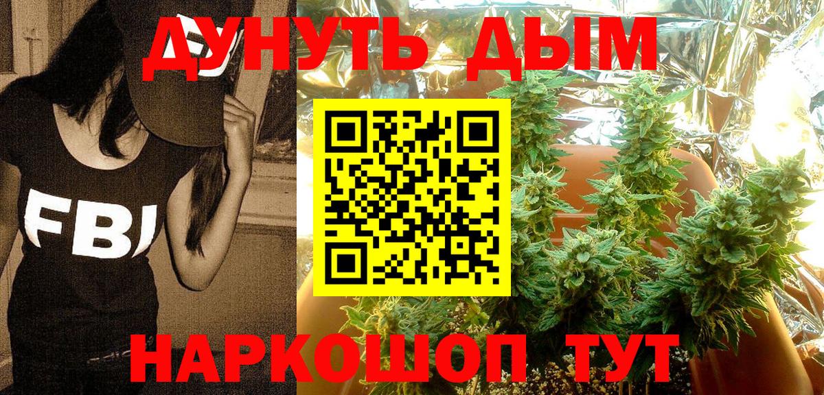 Конопля White Widow  Вход с VPN  Вязники  Каннабис сатива 